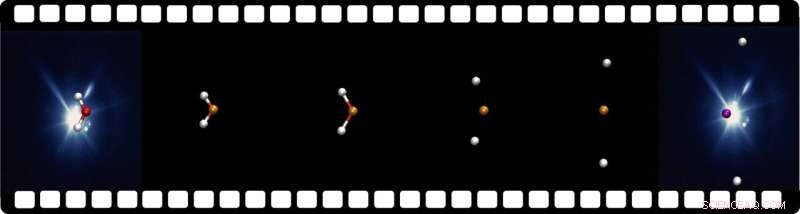 X‑ray Laser Reveals the Mechanisms Behind Radiation Damage