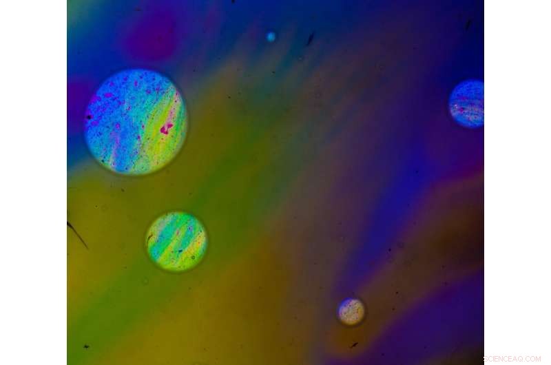 Liquid Crystals: Accelerating Fast‑Switching Display Technologies