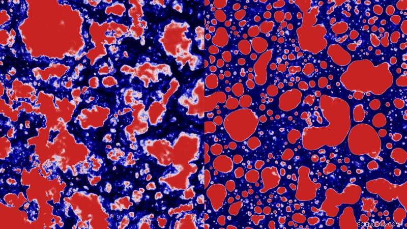 Exploring Food Mouthfeel Through Physics: A Microscopic Perspective