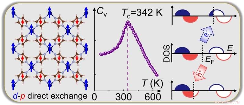 Electrically Tunable Spin Polarization in 2D Bipolar Magnetic Semiconductors