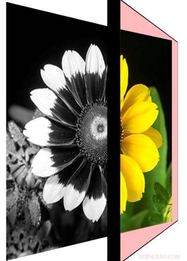 Cambridge‑Developed Color‑Changing Magnifier Transforms Infrared into Visible Light for Precise Detection