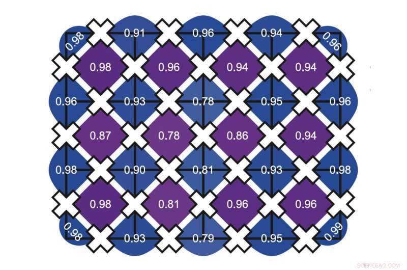 Quantum Processor Simulates 2D Quantum Matter Ground States