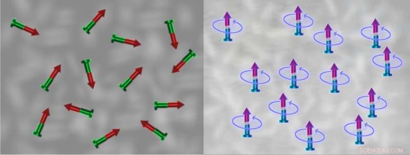 Programmable Control of Interactions in Quantum Magnet Systems
