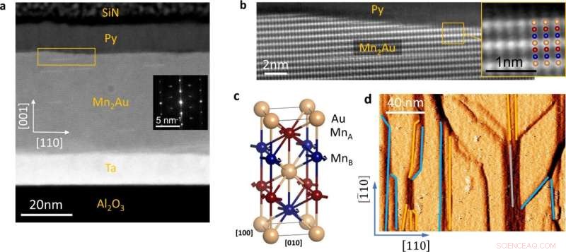 Probing Antiferromagnetic Spintronics via Strong Exchange Coupling