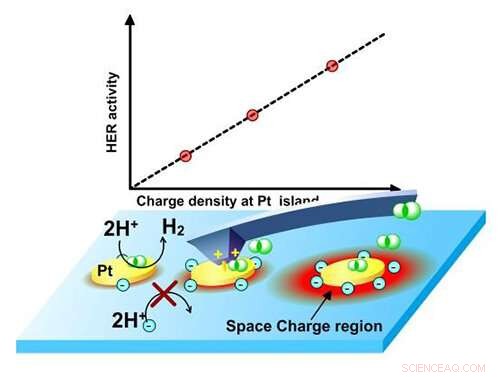 New Linear Relationship Found Between Surface Charge Density and Reaction Current in Photoelectrocatalysis