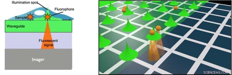 Revolutionary Chip-Scale Fluorescence Microscope Enables High-Throughput, High-Resolution Imaging