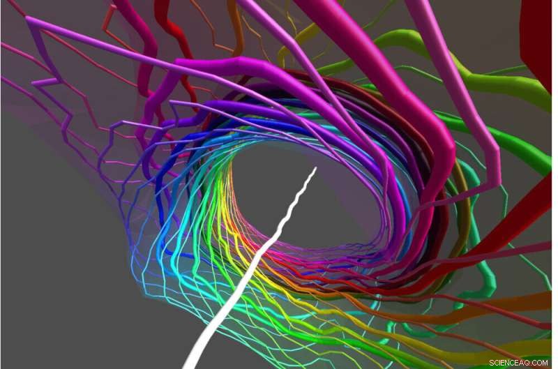 Researchers Simulate Skyrmion Particle Using Light Beam