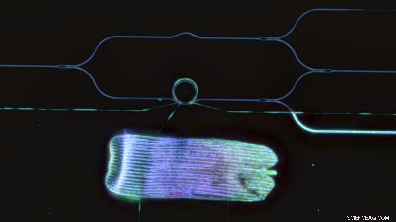 Ultra‑compact, energy‑efficient visible‑light modulator that preserves brightness