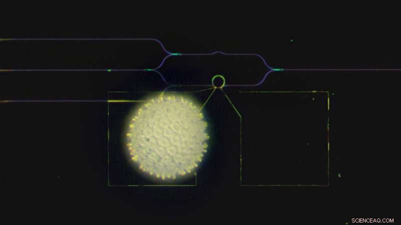 Ultra‑compact, energy‑efficient visible‑light modulator that preserves brightness