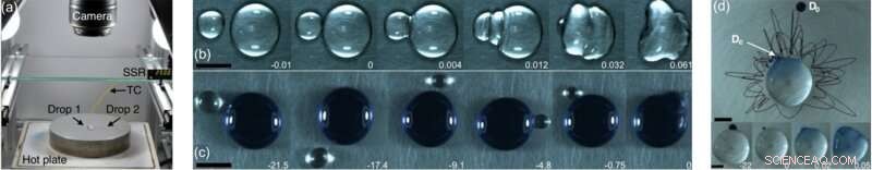 Triple Leidenfrost Effect Observed in Mixed Liquid Droplets on a Hot Pan
