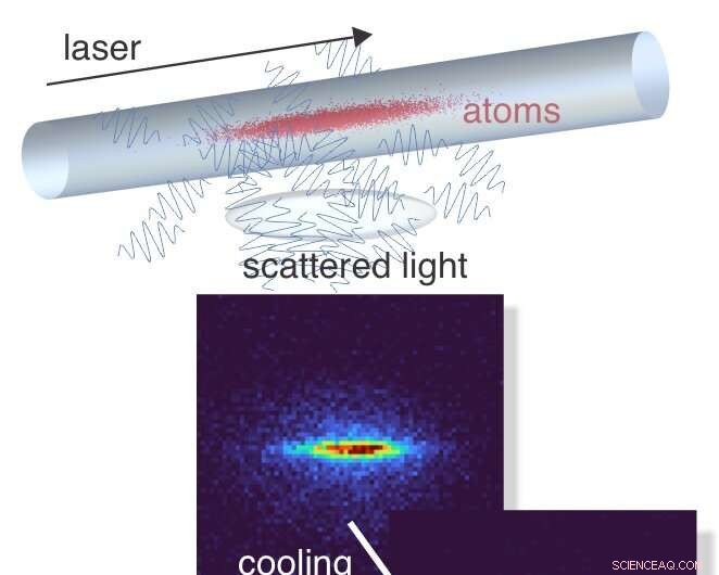 Why Ultracold, Superdense Atoms Turn Invisible: The Physics of Photon Scattering