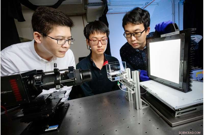 New Study Reveals How Bursting Bubbles Release Pollutants into the Atmosphere