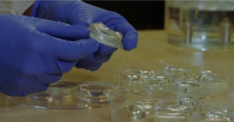 Researchers Produce High-Precision Optical Components Using Fluid-Based Fabrication