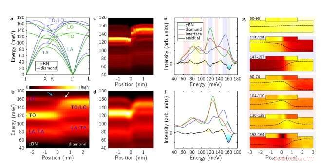 Localized Phonon Modes Detected at a cBN/Diamond Heterointerface