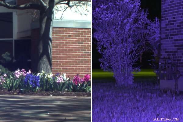 Unified Day‑Night Camera Technology Eliminates Separate Devices