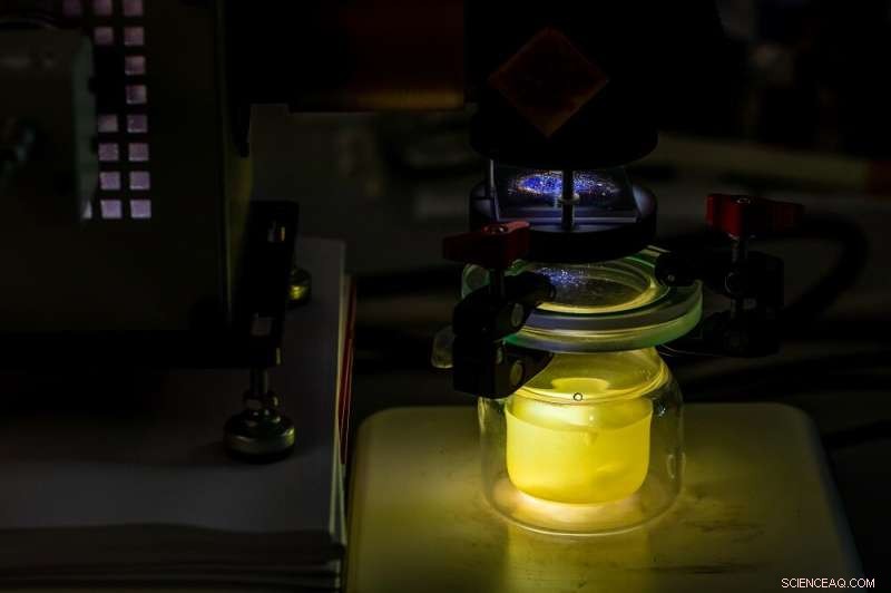 Quantum Confinement Unveiled in Porous Nano-Photocatalyst for Efficient Solar Hydrogen Production