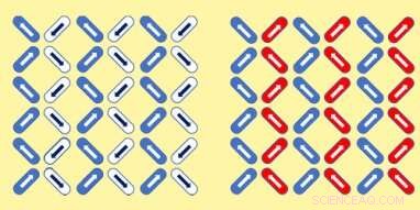 Nanomagnets Reveal Avalanche Mechanisms