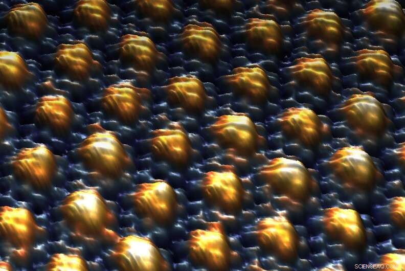 New Study Provides Strong Evidence of Topological Superconductivity in 4Hb-TaS2