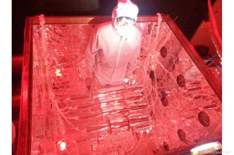 COSINE‑100 Finds No Dark Matter Signals, Casting Doubt on DAMA/LIBRA Results