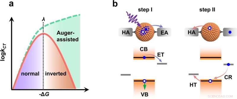 Researchers Detect Marcus Inverted Charge Transfer in Low-Dimensional Semiconductors