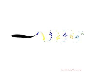 How Fish Schools Optimize Movement: Science Behind Their Collective Efficiency