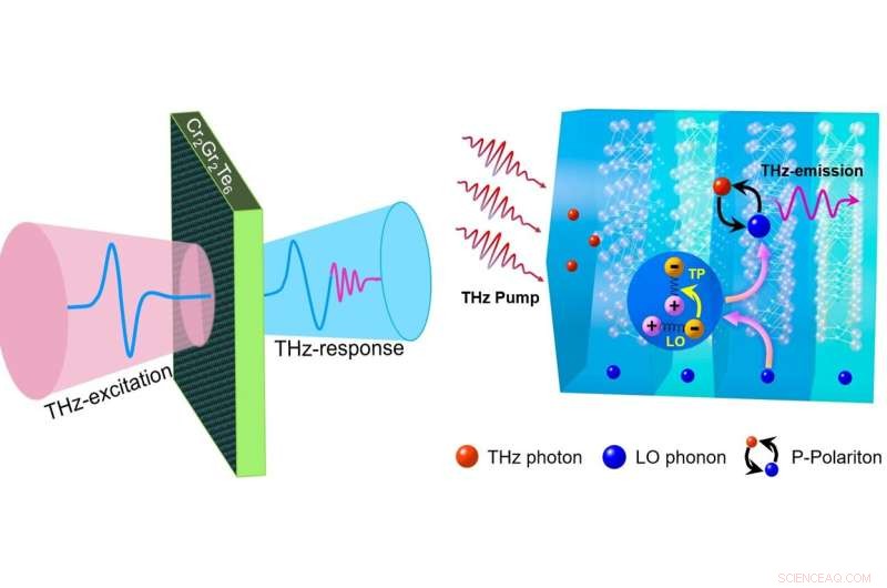 Magneto‑tunable Phonon‑Polariton Terahertz Source Achieves Precise Monochromatic Output