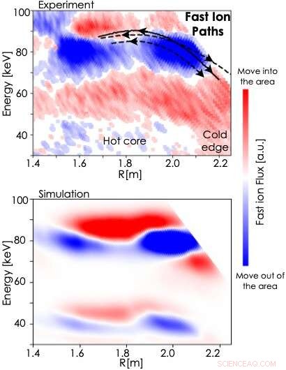 Mapping Fast Ion Dynamics in Fusion Reactors