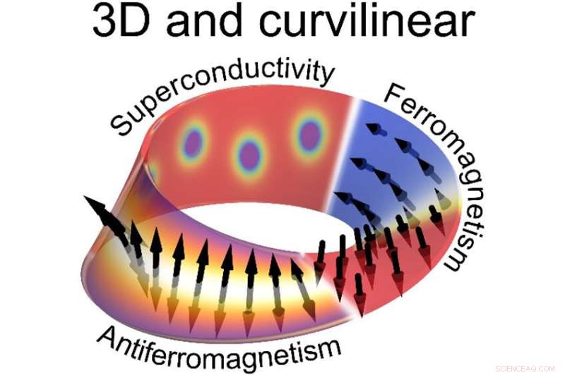 Exploring Curvature-Driven Magnetism and Superconductivity on Möbius Strips
