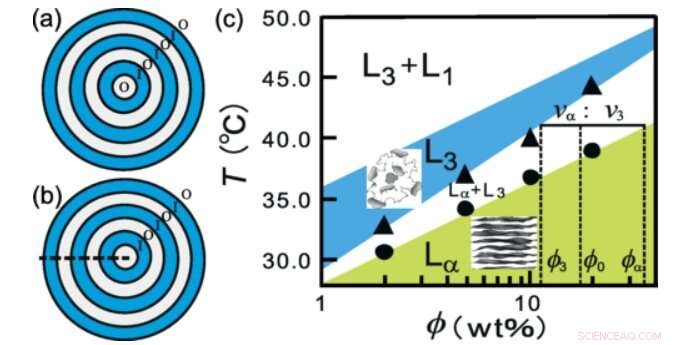 Optical Microscopy Reveals the Layered Structure of Surfactant Onions