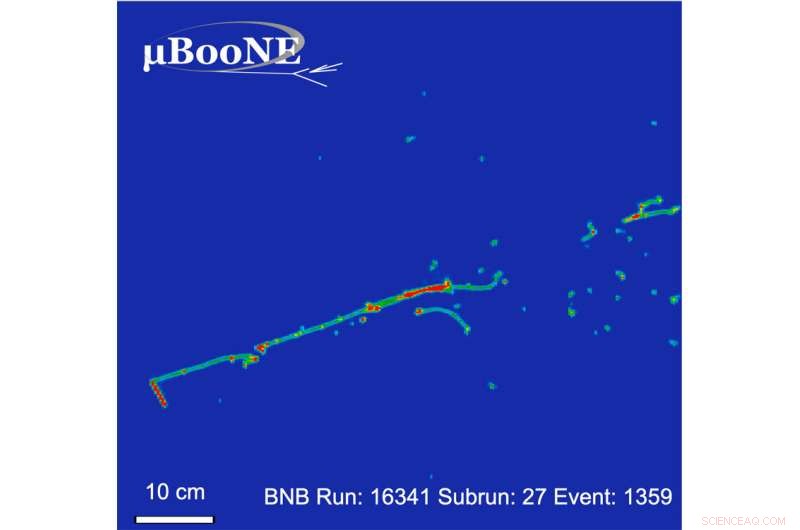 MicroBooNE Experiment Rules Out Sterile Neutrino Signal