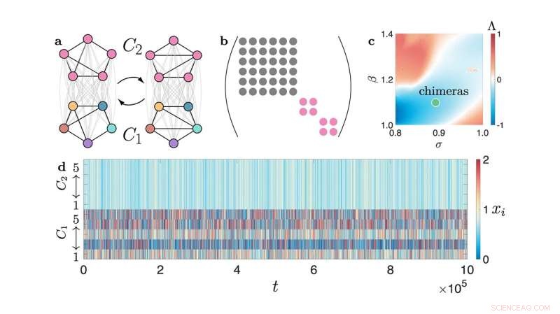 Innovative Tool Reveals Complex Dynamics in Hypergraph Structures