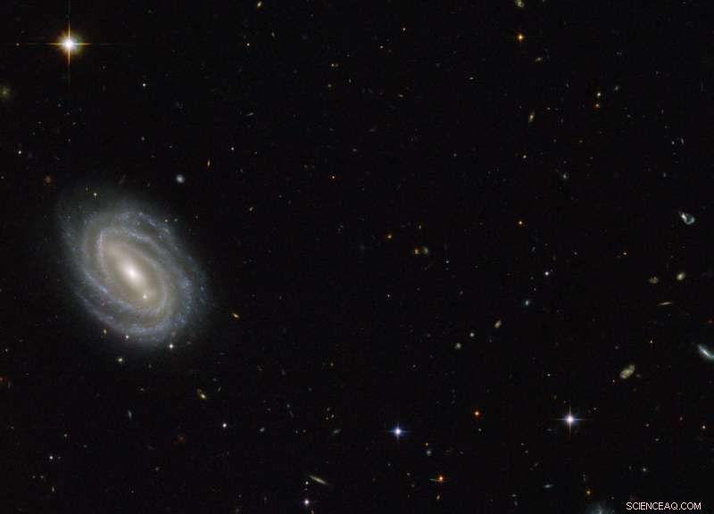 Neutron Stars: Powerful Probes for Detecting Dark Matter