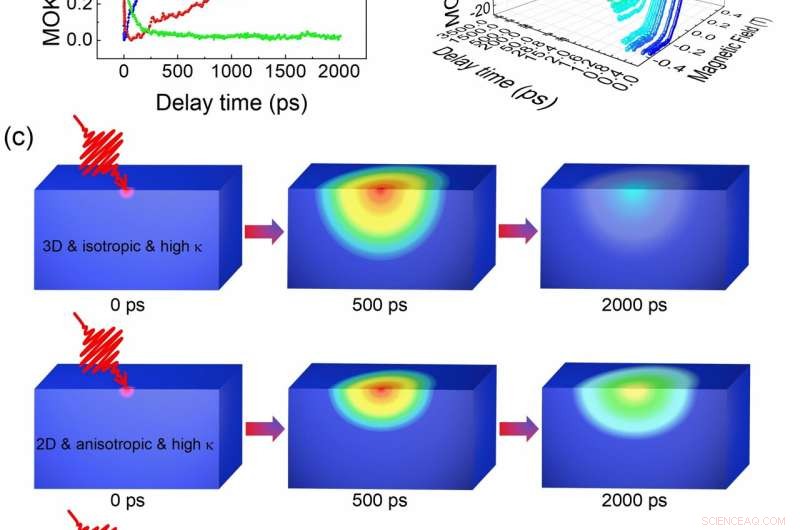 Ultra‑Long Spin Relaxation Unveiled in 2D Van der Waals Magnetic Materials