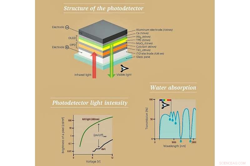 Enabling Visible Detection of Short-Wave Infrared Light Using a Single-Component Photodetector