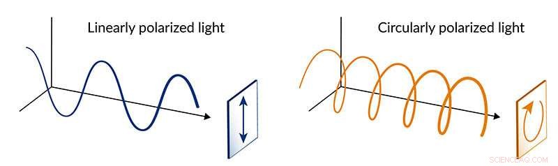 Quantum Materials Show Distinct Response to Circularly Polarized Laser Light – New Experimental Findings