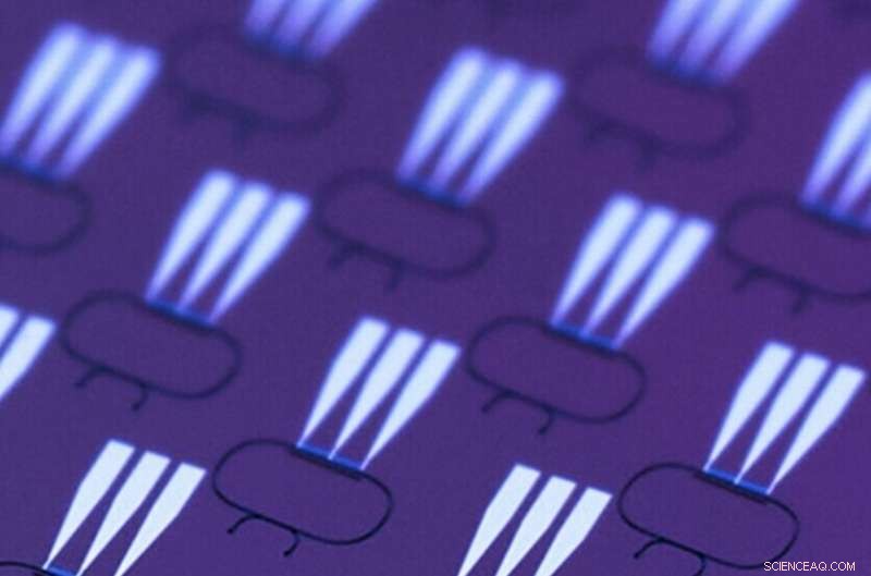 Lithium Niobate Photonic Chip Paves Way for Compact Quantum Devices