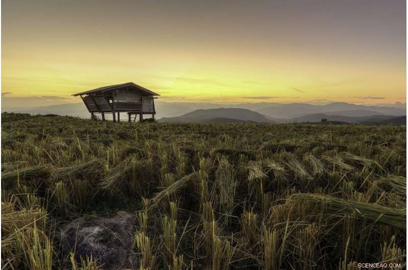 Bali s Blueprint for Sustainable Water Management: Global Lessons