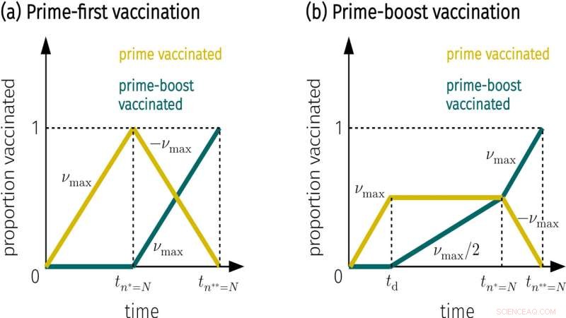 Choosing One vs Two COVID-19 Vaccine Doses: Strategic Timing and Effectiveness