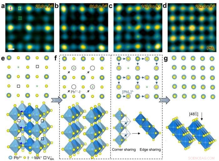 Unveiling the Photoelectric Performance of MAPbI₃ Perovskites