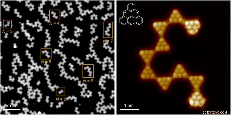 Exploring Exotic Magnetic States in Nanoscale Triangulene Chains