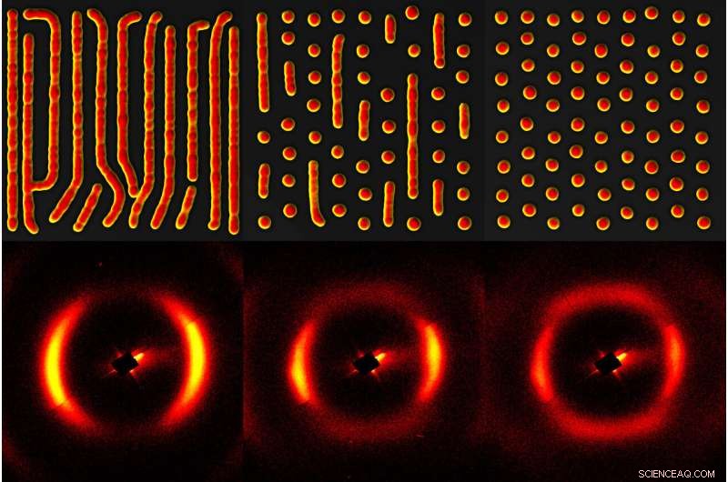 Skyrmions: Unveiling Their Shared Physics with Glassy States and High‑Temperature Superconductors