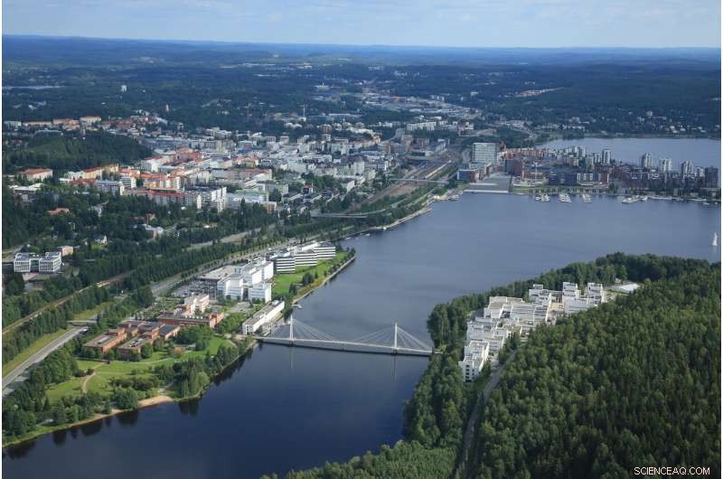 Unveiling Fast-Flying Particles: Insights from Quantum Chromodynamics