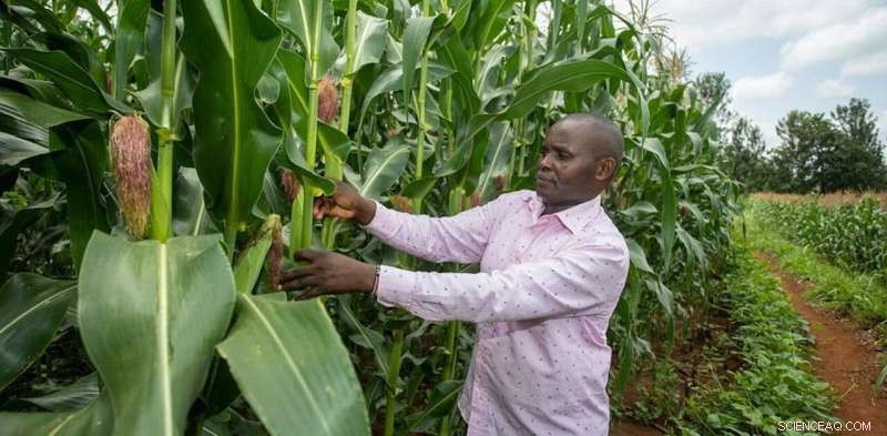 Towards Zero Hunger in Africa: 5 Proven Steps to Food Security