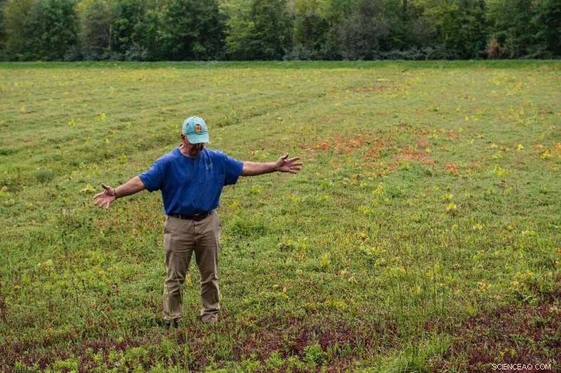 Massachusetts Cranberry Growers Combat Climate Change to Preserve Thanksgiving Traditions
