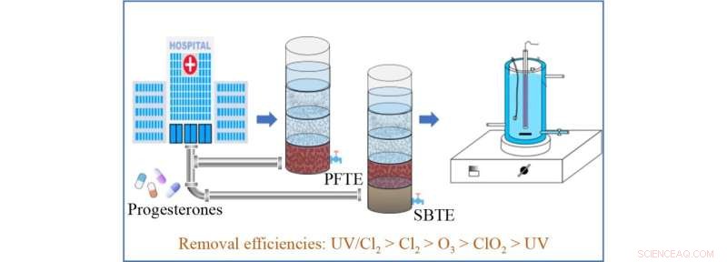Advanced Disinfection Techniques Yield Superior Removal of Natural and Synthetic Progesterones in Hospital Wastewater