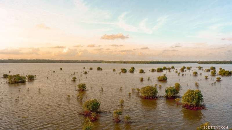 Floods Endanger Food Security for Over 5.6 Million Across Africa, New Study Finds