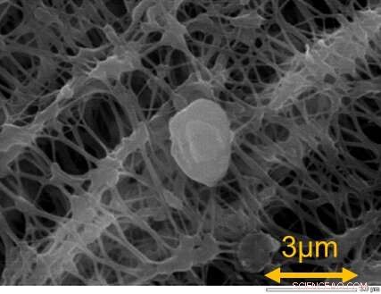 Could 1970s Sulfate Aerosols Have Masked Climate Change? New Research Uncovers Their Cooling Effect.