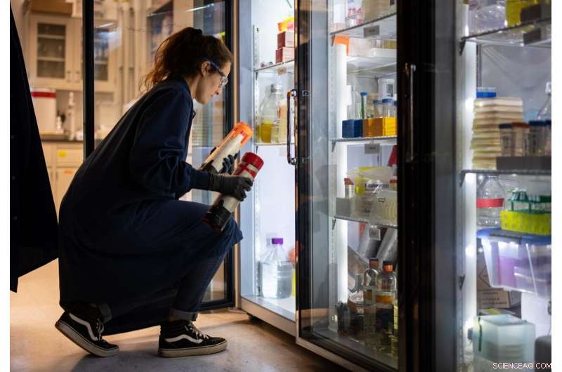 Arctic Microbes Unveiled: Burping Bacteria That Fuel Greenhouse Gas Emissions