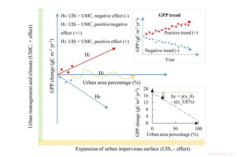 Assessing How Urban Growth Affects Gross Primary Production