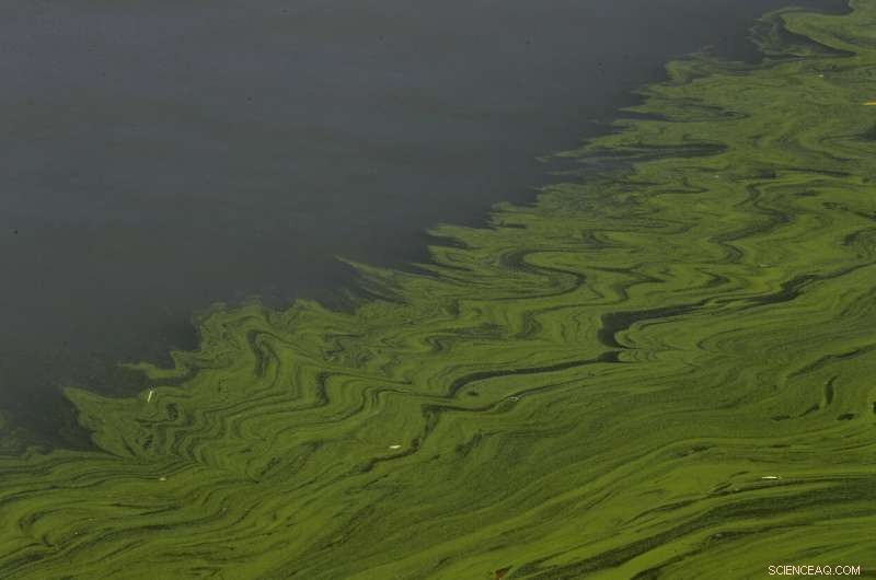 Celebrating 50 Years of the Clean Water Act: Achievements and Ongoing Challenges